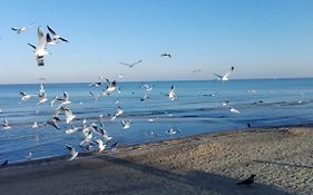 Przy plaży